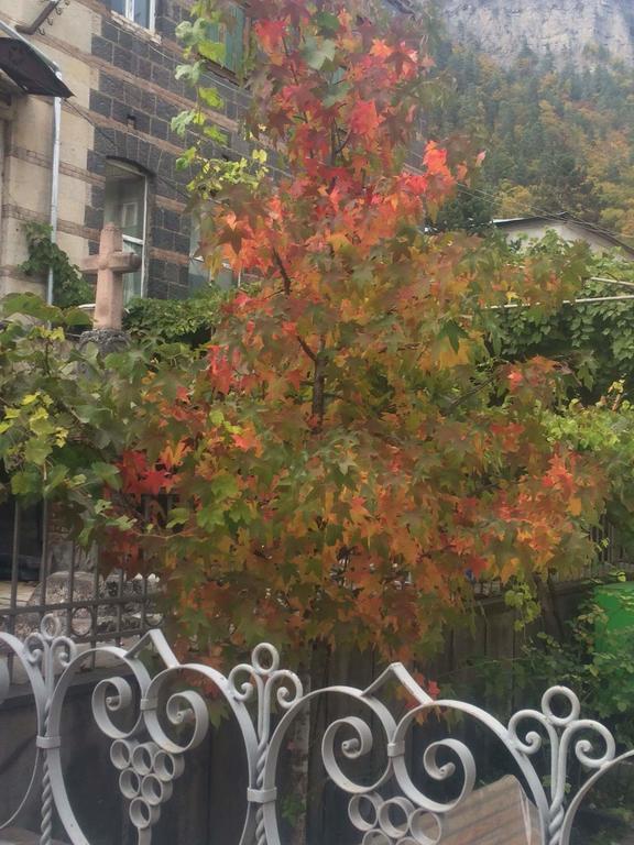 Old House Rustaveli 호텔 보르조미 외부 사진